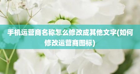 手机运营商名称怎么修改成其他文字(如何修改运营商图标)