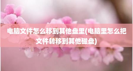 电脑文件怎么移到其他盘里(电脑里怎么把文件转移到其他磁盘)