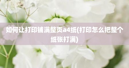 如何让打印铺满整页a4纸(打印怎么把整个纸张打满)