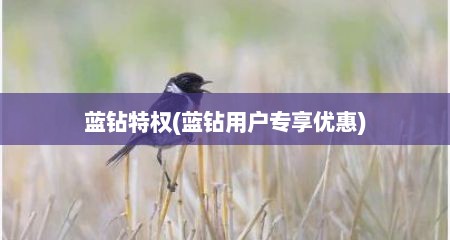 蓝钻特权(蓝钻用户专享优惠)