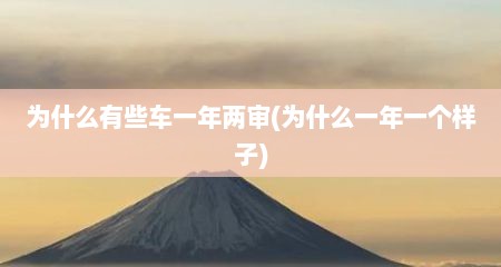 为什么有些车一年两审(为什么一年一个样子)