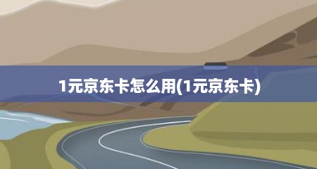 1元京东卡怎么用(1元京东卡)