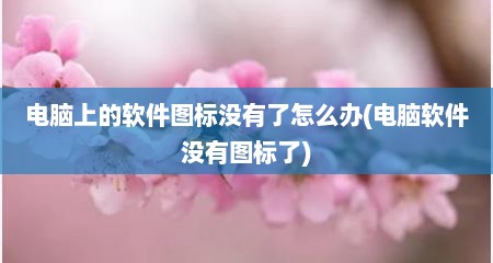 电脑上的软件图标没有了怎么办(电脑软件没有图标了)