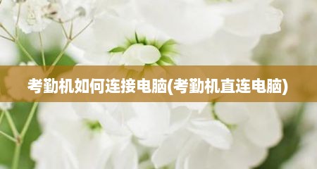 考勤机如何连接电脑(考勤机直连电脑)