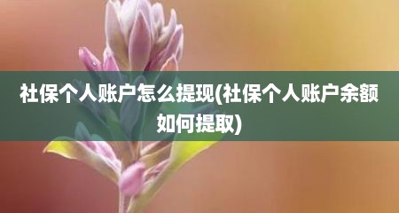 社保个人账户怎么提现(社保个人账户余额如何提取)