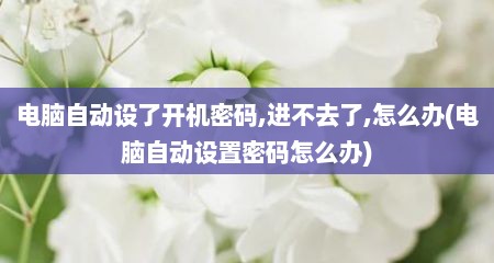 电脑自动设了开机密码,进不去了,怎么办(电脑自动设置密码怎么办)
