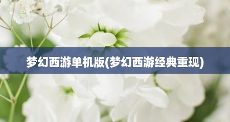 梦幻西游单机版(梦幻西游径典重现)