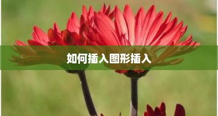 如何插入图形插入