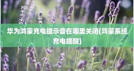 华为鸿蒙充电提示音在哪里关闭(鸿蒙系统充电提醒)