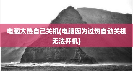 电脑太热自己关机(电脑因为过热自动关机无法开机)