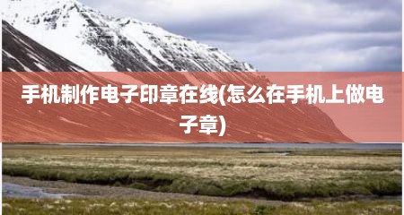 手机制作电子印章在线(怎么在手机上做电子章)