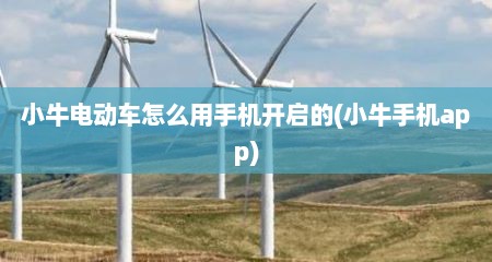小牛电动车怎么用手机开启的(小牛手机app)