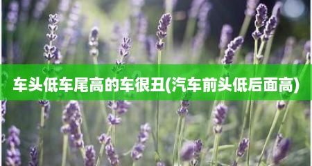 车头低车尾高的车很丑(汽车前头低后面高)