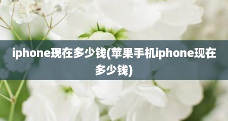 iphone现在多少钱(苹果手机iphone现在多少钱)
