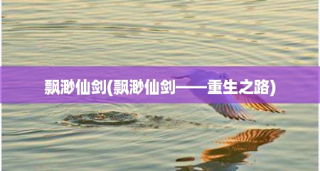 飘渺仙剑(飘渺仙剑——重生之路)