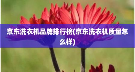 京东洗衣机品牌排行榜(京东洗衣机质量怎么样)