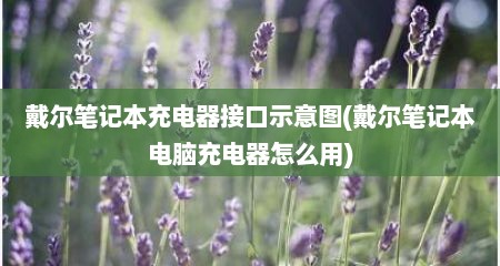 戴尔笔记本充电器接口示意图(戴尔笔记本电脑充电器怎么用)