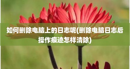 如何删除电脑上的日志呢(删除电脑日志后操作痕迹怎样清除)