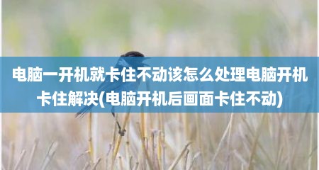 电脑一开机就卡住不动该怎么处理电脑开机卡住解决(电脑开机后画面卡住不动)