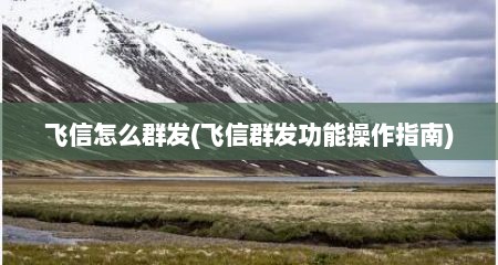 飞信怎么群发(飞信群发功能操作指南)