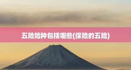 五险险种包括哪些(保险的五险)