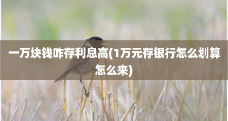 一万块钱咋存利息高(1万元存银行怎么划算怎么来)