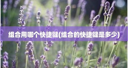 组合用哪个快捷键(组合的快捷键是多少)