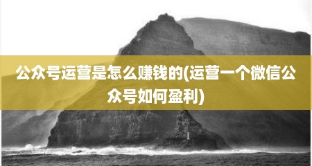 公众号运营是怎么赚钱的(运营一个微信公众号如何盈利)