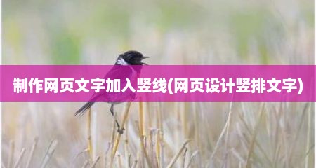 制作网页文字加入竖线(网页设计竖排文字)