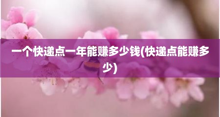 一个快递点一年能赚多少钱(快递点能赚多少)
