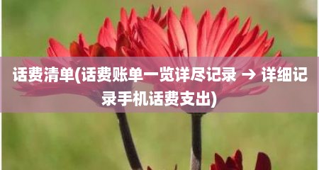 话费清单(话费账单一览详尺记录 → 详细记录手机话费支出)