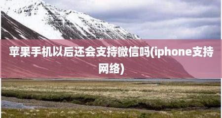 苹果手机以后还会支持微信吗(iphone支持网络)