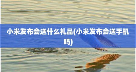 小米发布会送什么礼品(小米发布会送手机吗)