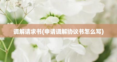 调解请求书(申请调解协议书怎么写)