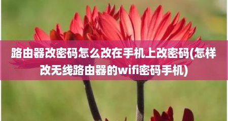 路由器改密码怎么改在手机上改密码(怎样改无线路由器的wifi密码手机)