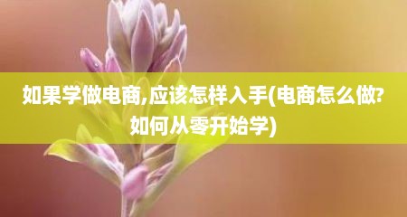 如果学做电商,应该怎样入手(电商怎么做?如何从零开始学)