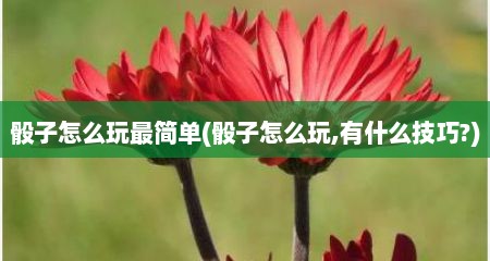 骰子怎么玩最简单(骰子怎么玩,有什么技巧?)