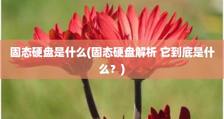固态硬盘是什么(固态硬盘解析 它到底是什么？)