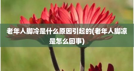 老年人脚冷是什么原因引起的(老年人脚凉是怎么回事)
