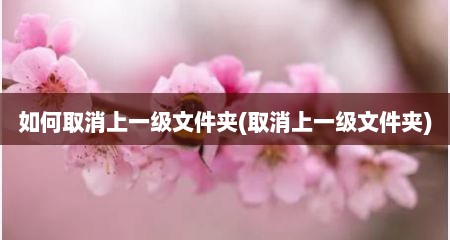 如何取消上一级文件夹(取消上一级文件夹)
