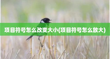 项目符号怎么改变大小(项目符号怎么放大)