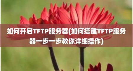如何开启TFTP服务器(如何搭建TFTP服务器一步一步教你详细操作)