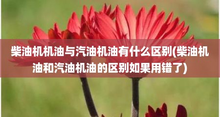 柴油机机油与汽油机油有什么区别(柴油机油和汽油机油的区别如果用错了)