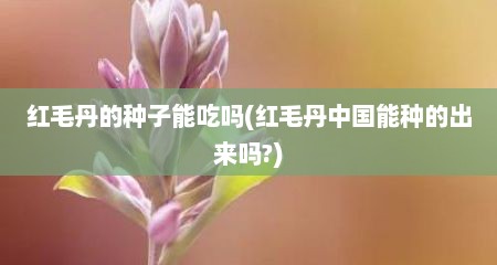红毛丹的种子能吃吗(红毛丹中国能种的出来吗?)
