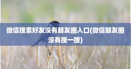 微信搜索好友没有朋友圈入口(微信朋友圈没有搜一搜)