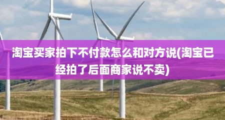 淘宝买家拍下不付款怎么和对方说(淘宝已经拍了后面商家说不卖)