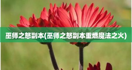 巫师芝怒副本(巫师芝怒副本重燃魔法芝火)