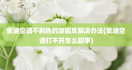 奥迪空调不制热的原因及解决办法(奥迪空调打不开怎么回事)