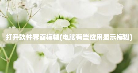 打开软件界面模糊(电脑有些应用显示模糊)