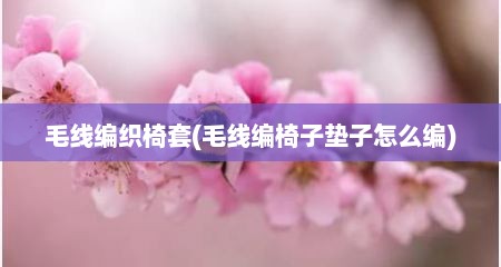 毛线编织椅套(毛线编椅子垫子怎么编)
